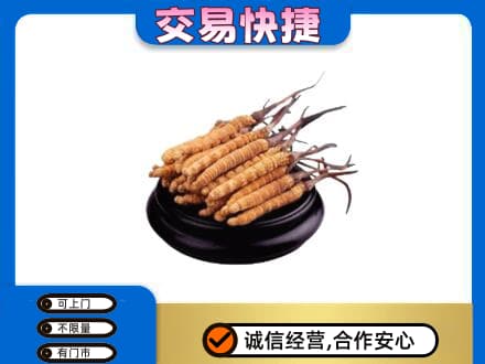 鄂尔多斯准格尔旗回收冬虫夏草多少钱每克